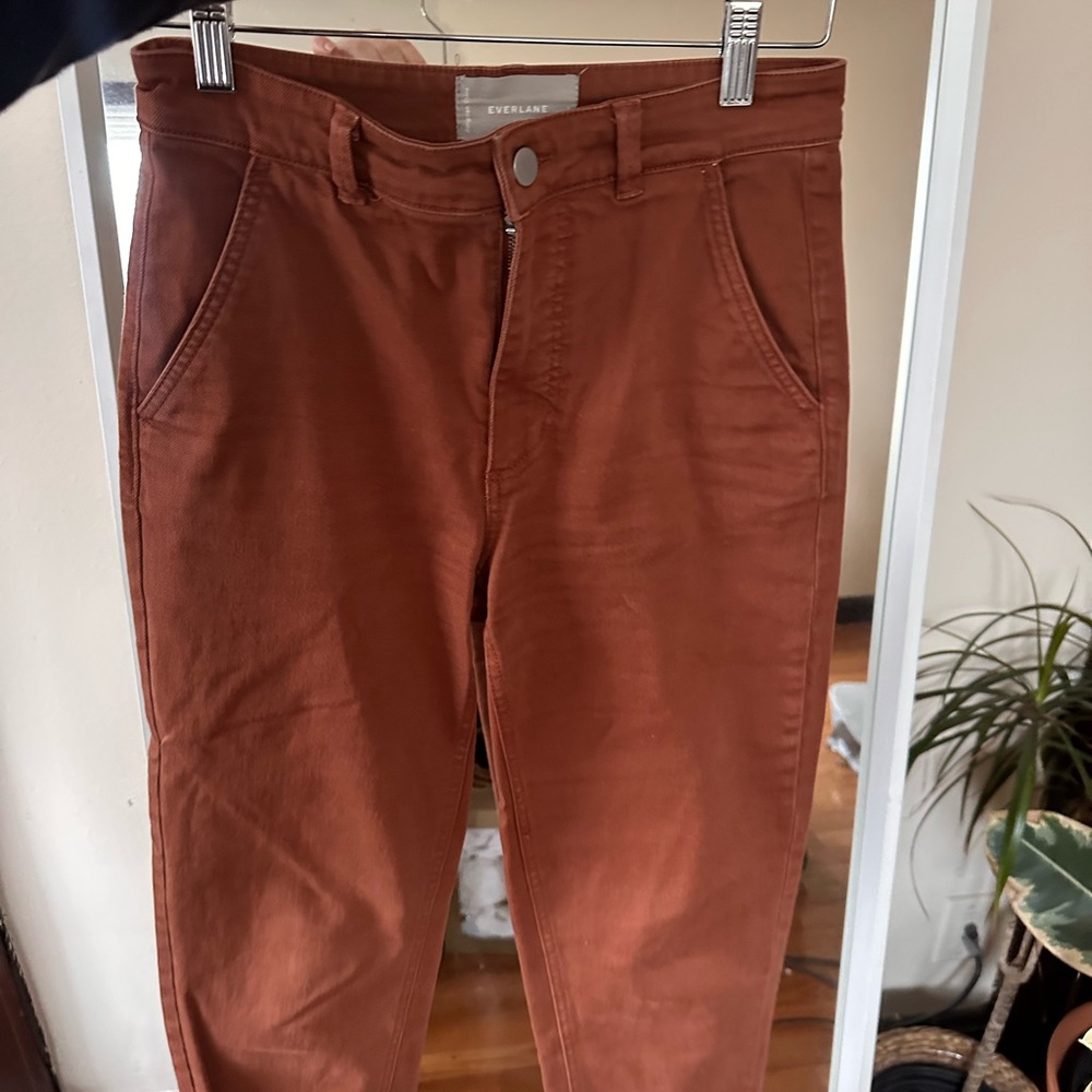 Everlane Terracotta Straight Leg Pants